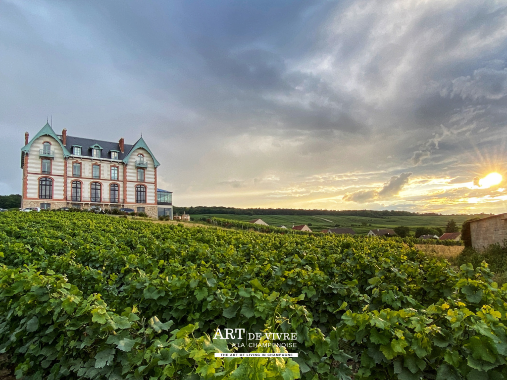 Chateau de Sacy hotel soleil couchant sunset vignes