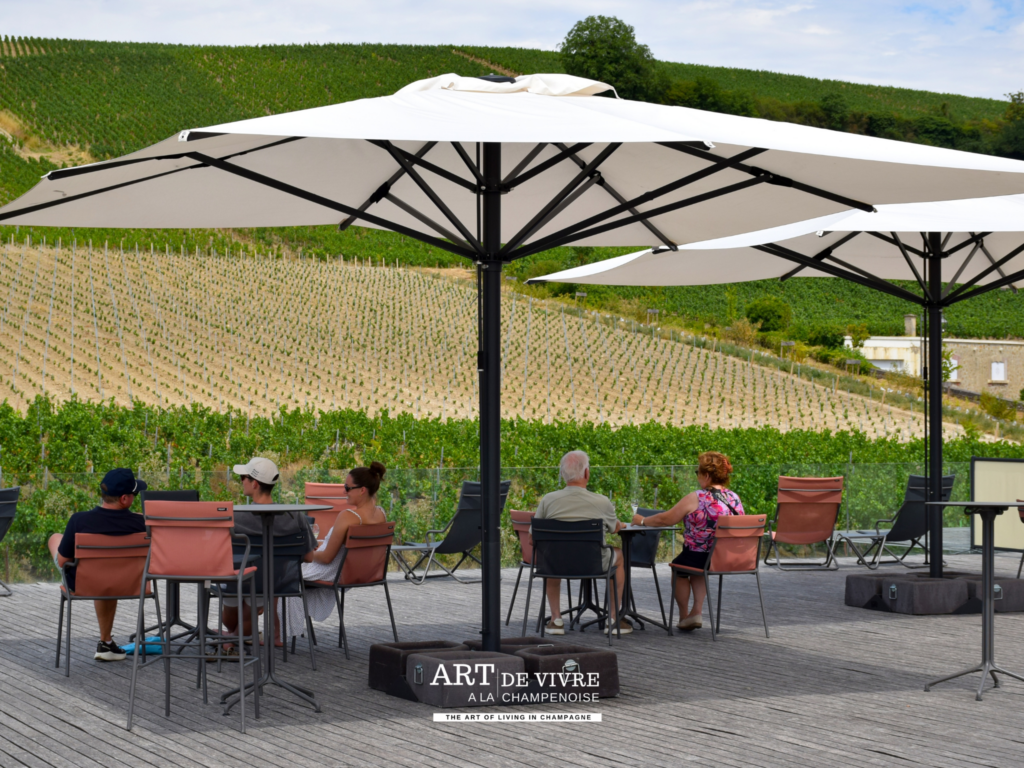 Vue panoramique sur le vignoble champenois depuis Pressoria
