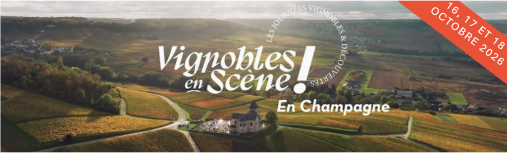 Vignoble en scène